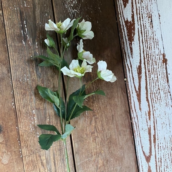 Anthropologie Terrain Faux Dogwood Stem - Picture 2 of 5